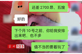 禹城融资清欠服务